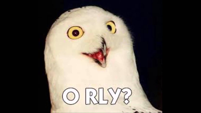 oreally owl